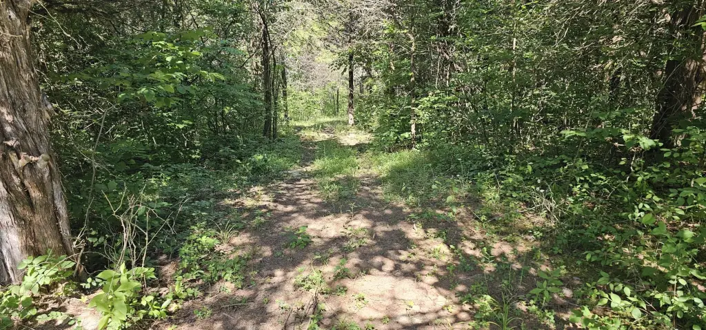 Picture 25