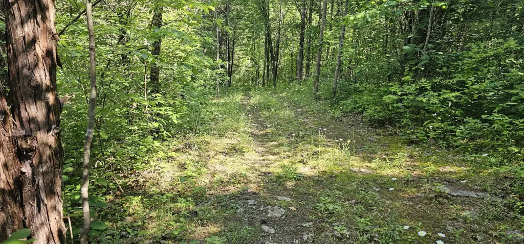 Picture 27