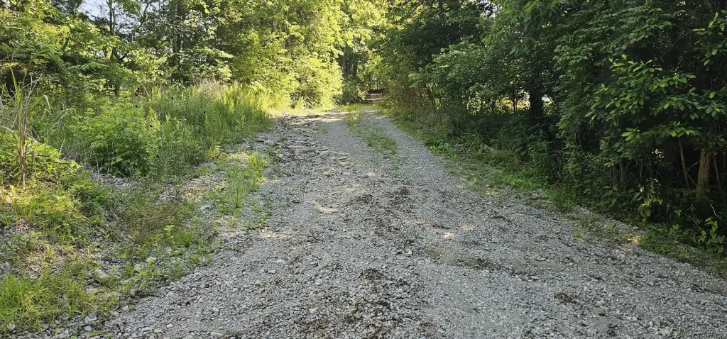 Picture 10