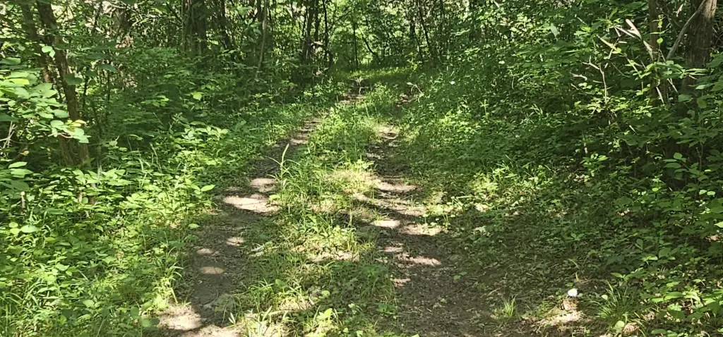 Picture 48