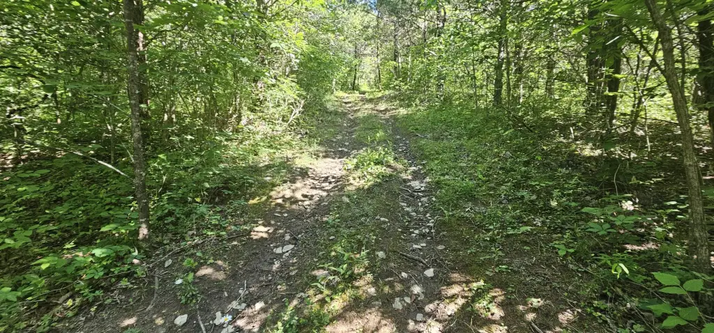 Picture 40