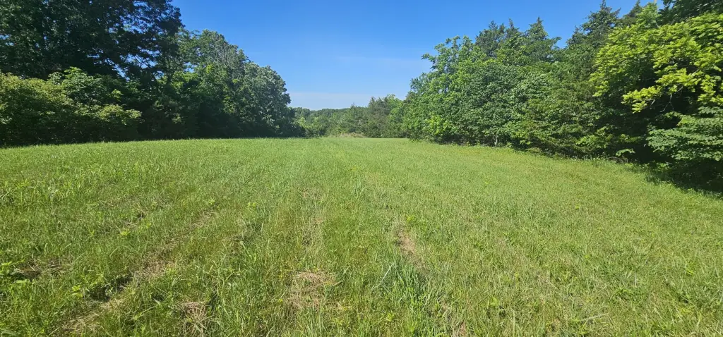 Picture 16