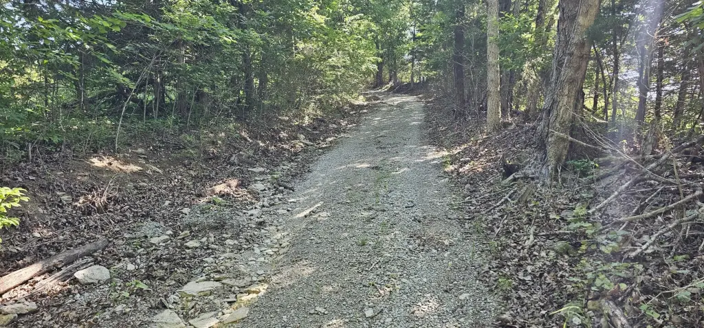 Picture 11