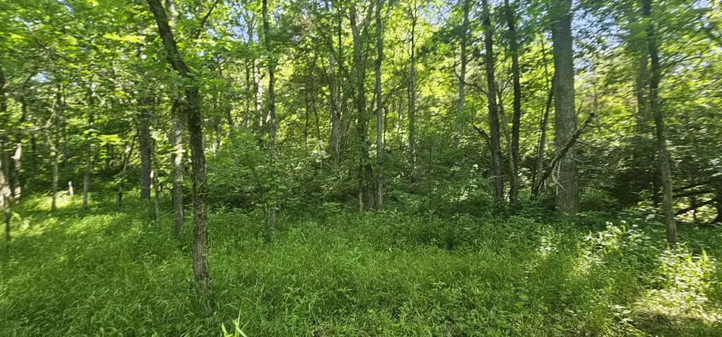 Picture 36