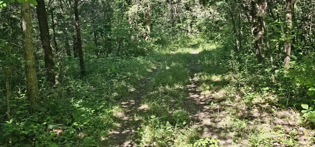 Picture 47