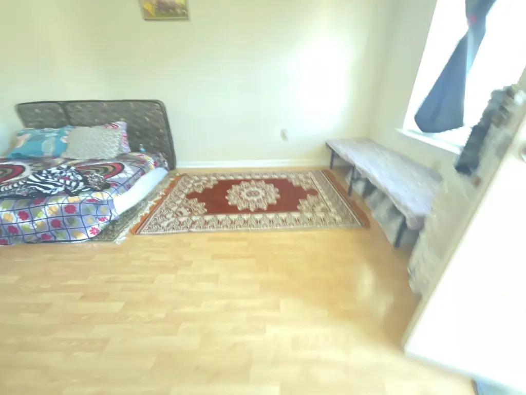 Picture 5
