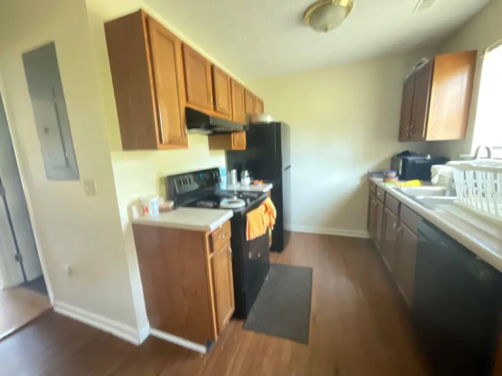 Picture 12