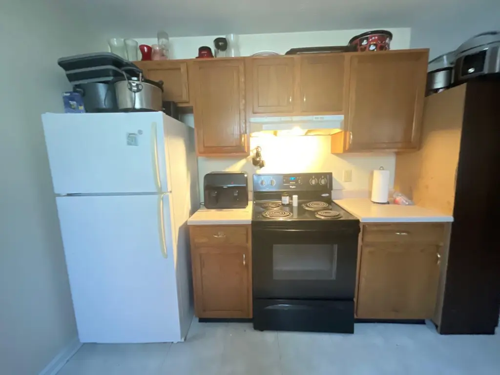 Picture 17