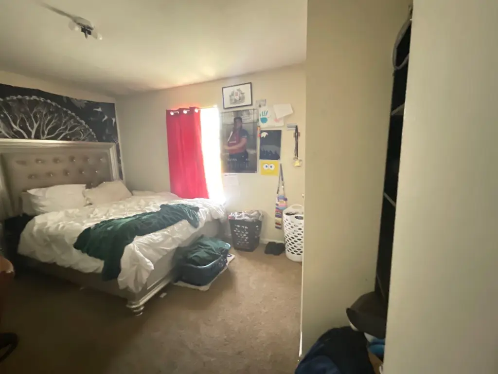 Picture 38