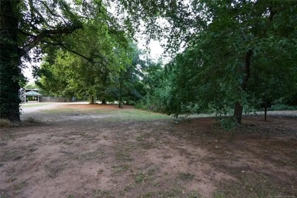 Picture 24