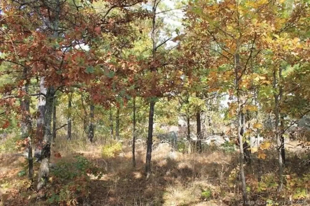 Picture 11