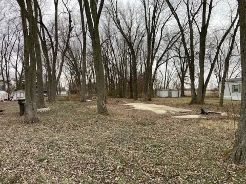 Land For Sale, Braidwood, IL