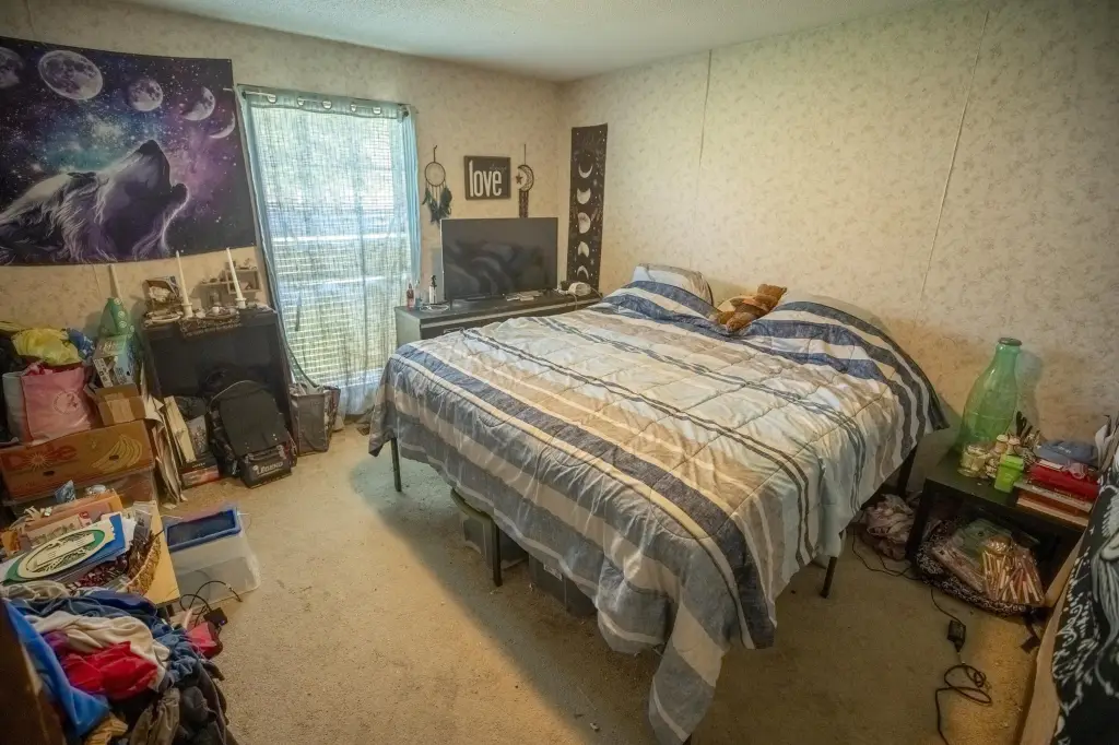 Picture 21