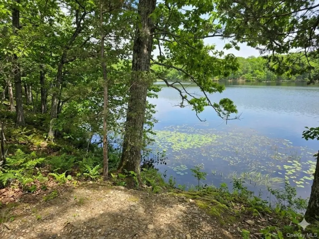 Picture 4