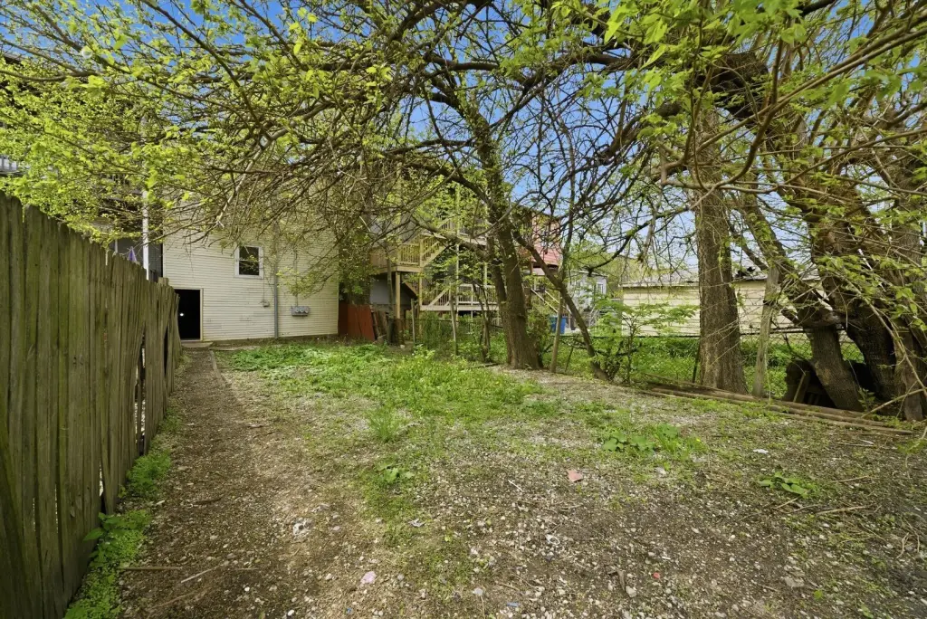 Picture 23