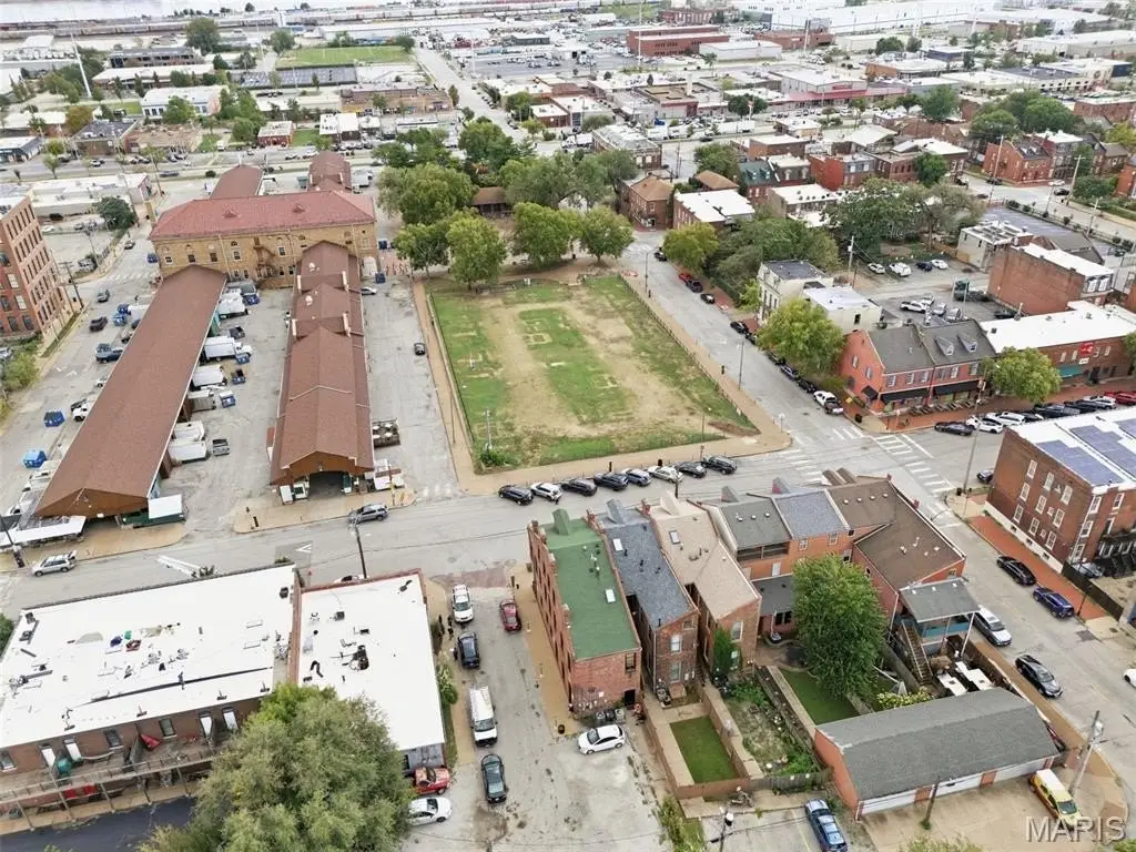 Picture 31