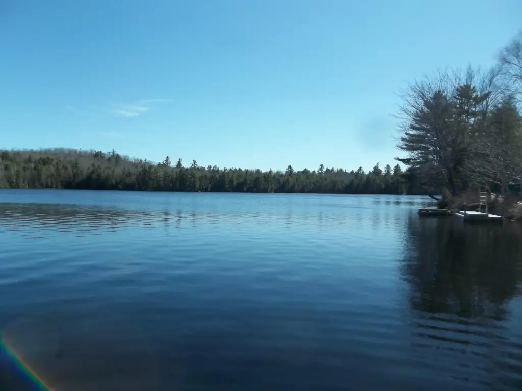 Picture 2