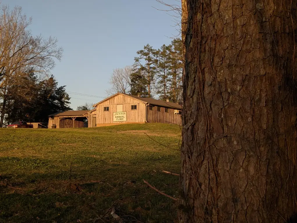 Picture 19