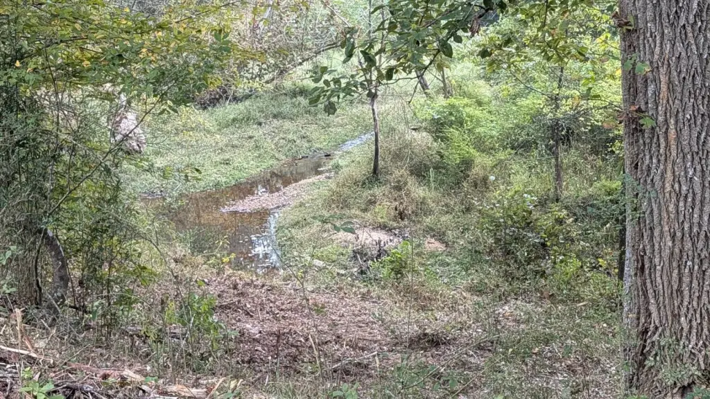 Picture 25
