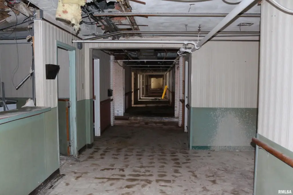 Picture 21