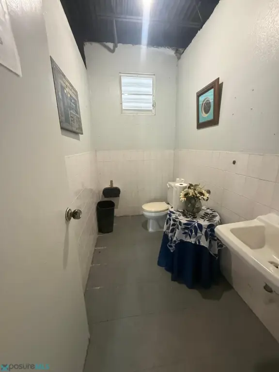 Picture 29