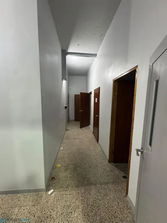 Picture 21