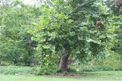 Residential Lot in Woodhaven Estates