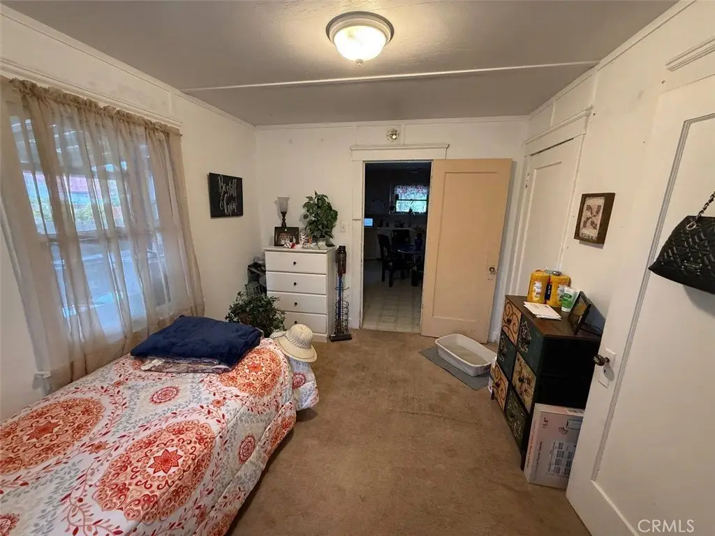 Picture 21