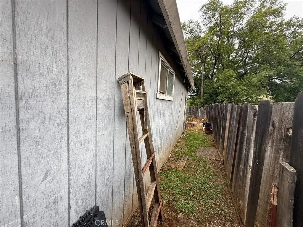 Picture 24