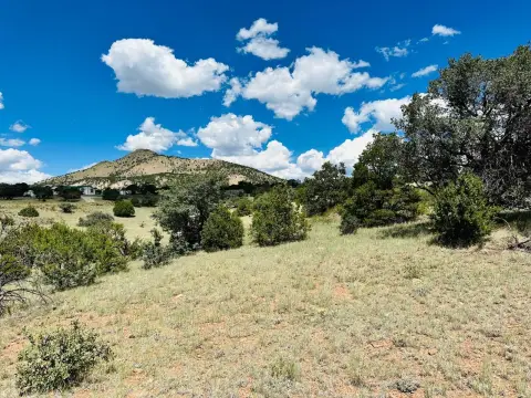 Recreation Land with Meadow