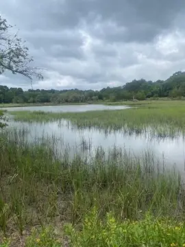 Tidal Creek Land in Hollywood