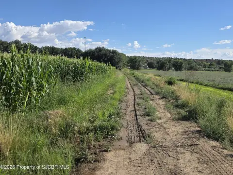 Irrigated Farmland with Highway Frontage