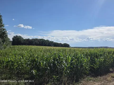Irrigated Agricultural Land