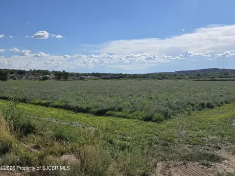 Irrigated Farmland