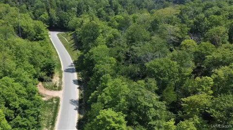 Expansive Vacant Land in Munising