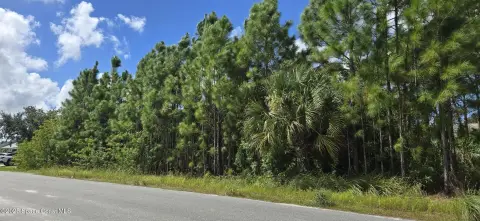 Palm Bay Land For Sale