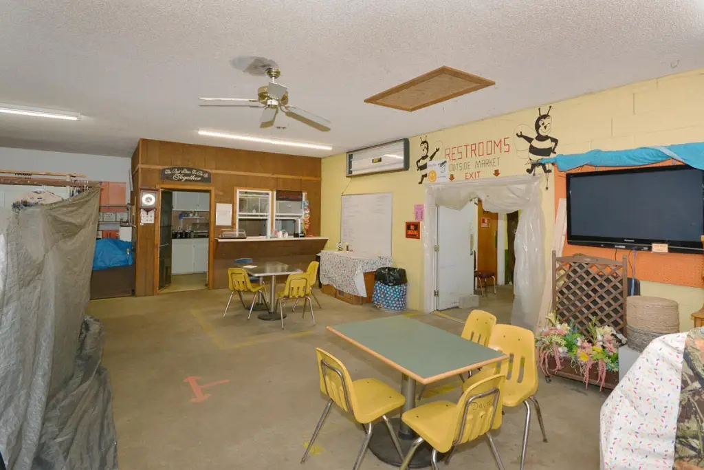 Picture 15