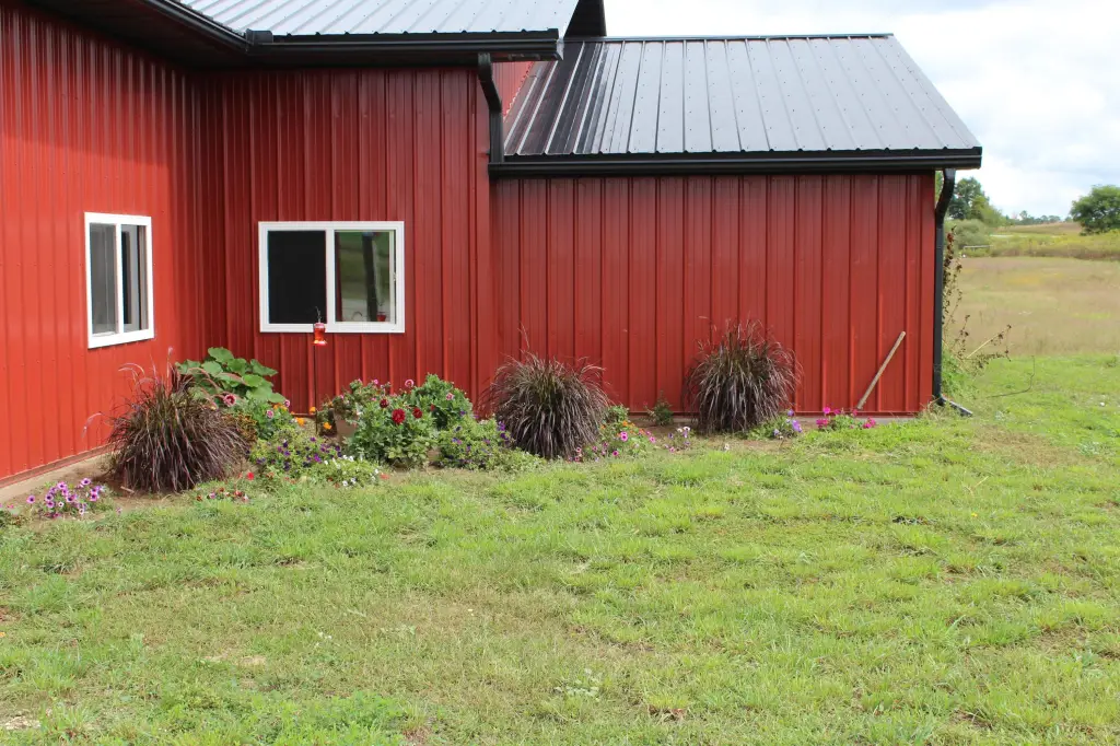 Picture 18