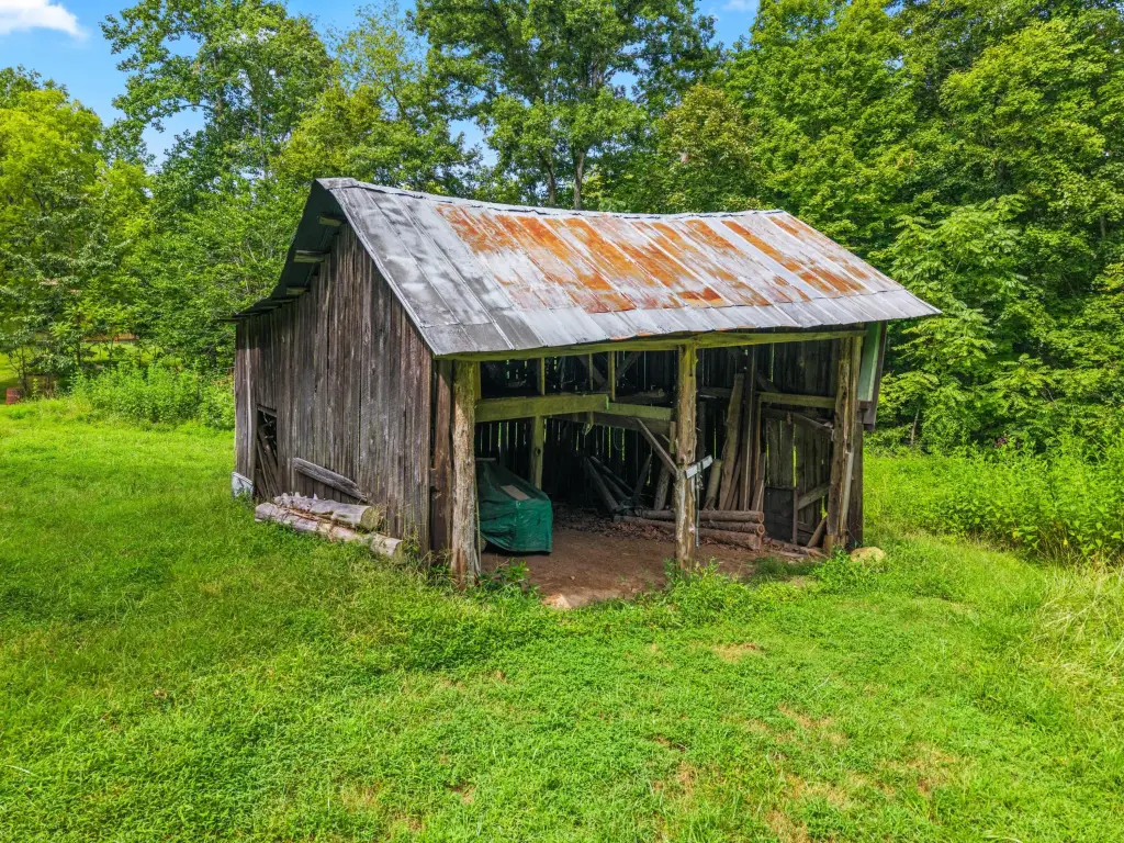 Picture 20