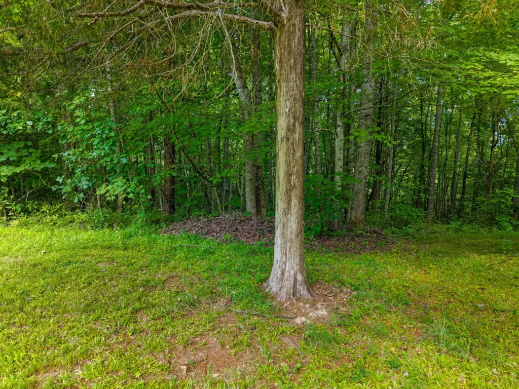 Picture 25
