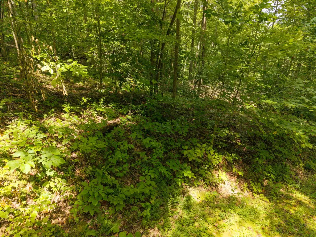 Picture 30