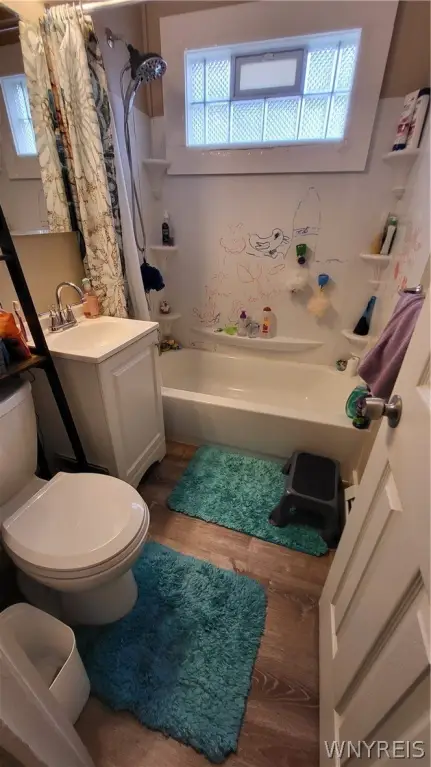 Picture 19