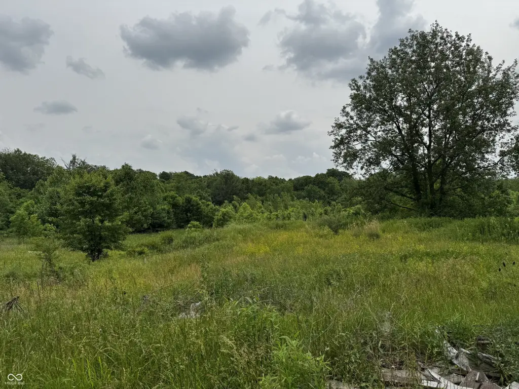 Picture 6