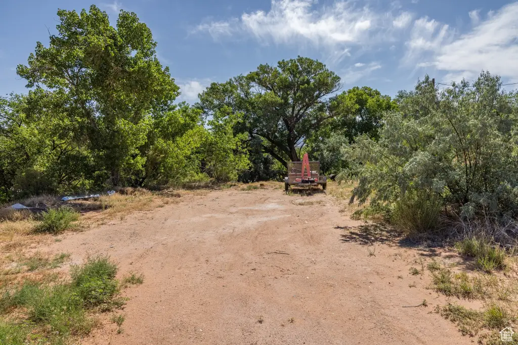 Picture 20