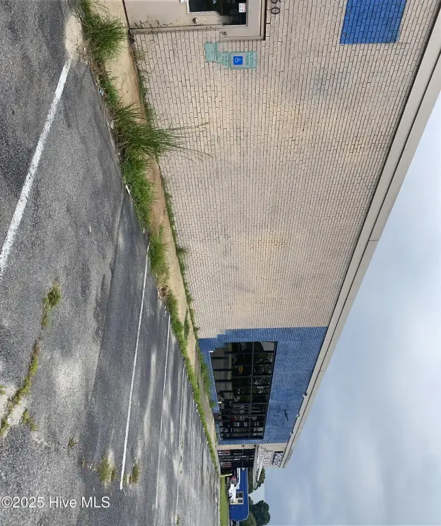 Picture 15