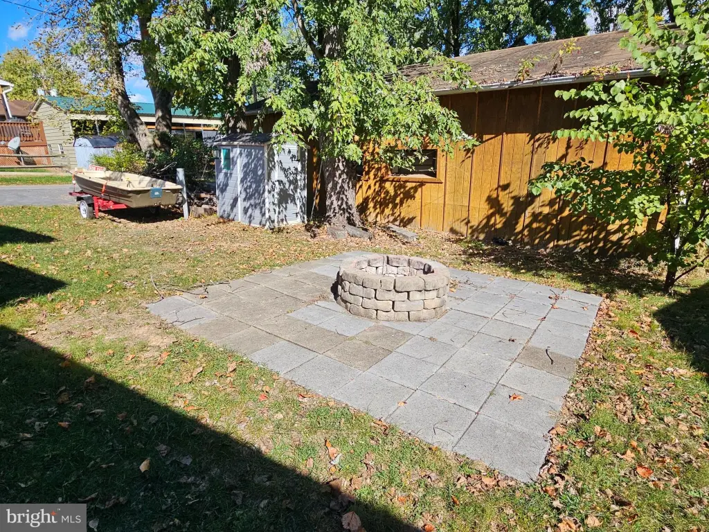 Picture 5