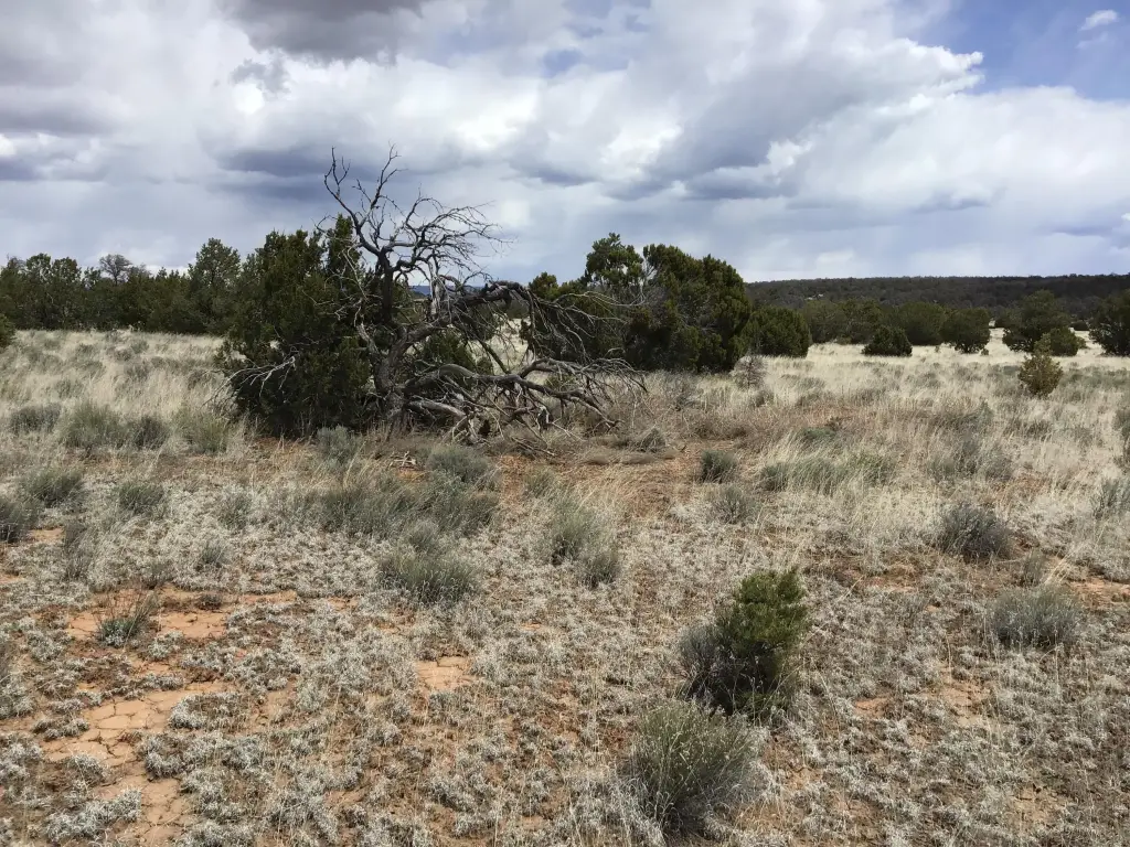Picture 19