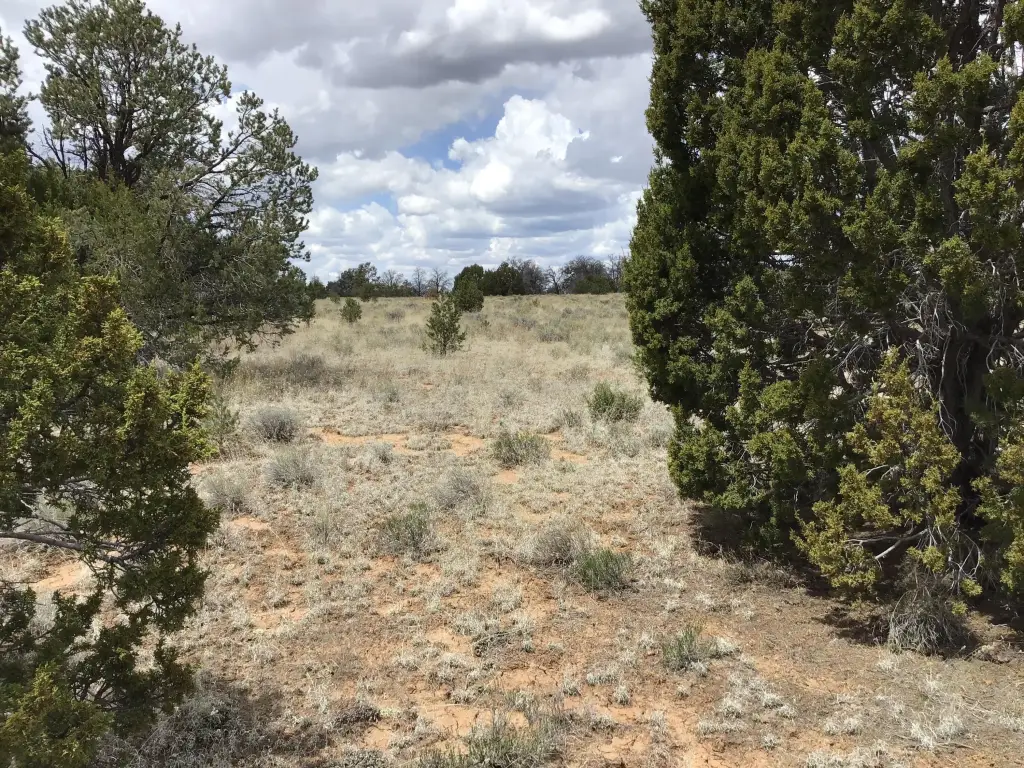 Picture 21