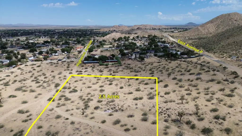 Picture 3