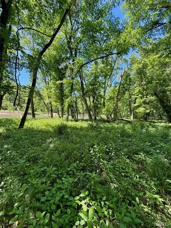 Picture 31